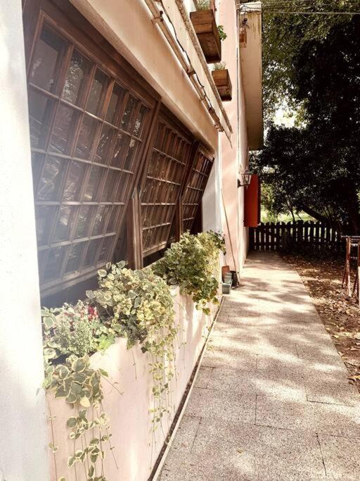 Raffinatezza Rustica Nella Campagna Veneziana Apartment Canton  Luaran gambar